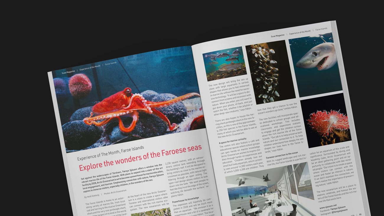 Revista con imágenes de vida marina y paisajes submarinos en Alemania.