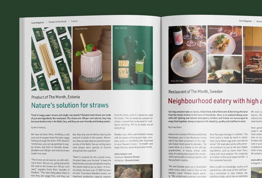 Spread editorial de proyecto de diseño de identidad visual para SCAN — Discover Germany.